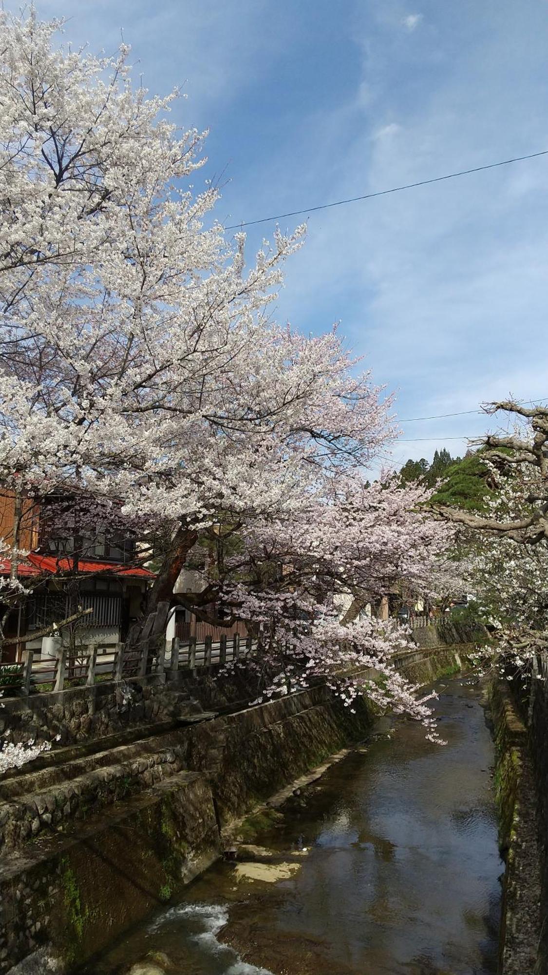 Daihachi Hotel Takayama  Ngoại thất bức ảnh